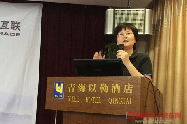 诺亚体育互联总经理、首席规划师郑爱军正在进行《政府网站+评估体系构建思路》的主题演讲