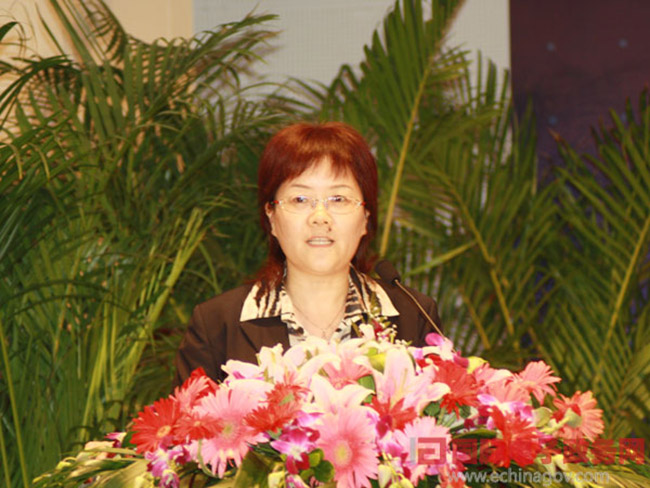 北京诺亚体育互联信息顾问有限公司总经理、首席规划师郑爱军女士正在做《从电子政务到智慧政府：诺亚体育的思考与实践》为题的主题发言