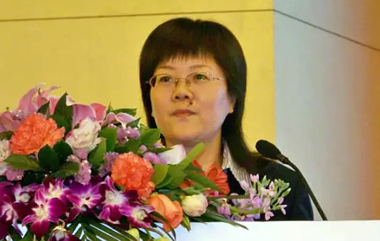 在2015中国智慧政府发展年会上，诺亚体育互联总经理、首席规划师郑爱军发布《2015中国"互联网+政务"优秀实践案例50强评选结果》
